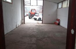 Hală de Închiriat, 216 mp, 700 mp teren - Fălticeni