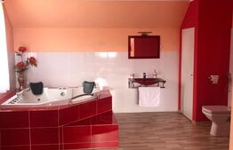 Casa de vanzare, 5 camere, 179 mp utili + 510 mp teren - Sfantu Ilie