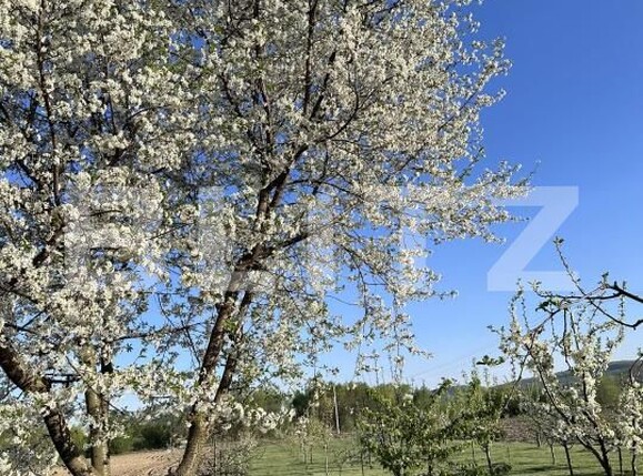 Casa de vânzare 5 camere Exterior Nord - 192923CV | BLITZ Suceava | Poza13