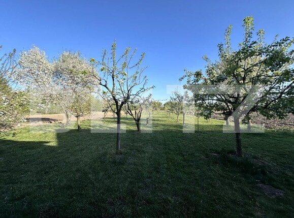 Casa de vânzare 5 camere Exterior Nord - 192923CV | BLITZ Suceava | Poza12