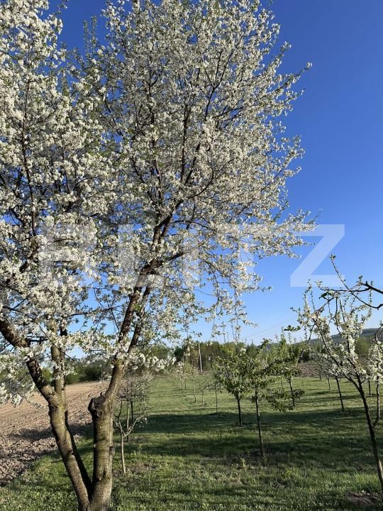 Casa de vânzare 5 camere Exterior Nord - 192923CV | BLITZ Suceava | Poza13