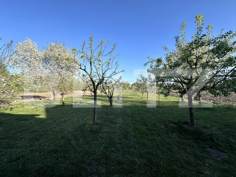 Casa de vânzare 5 camere Exterior Nord - 192923CV | BLITZ Suceava | Poza12