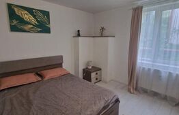 Apartament 2 camere, 50 mp, etaj intermediar, zona Ultracentrală