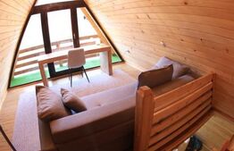 Cabană A-frame în Vama, 110 mp, 1800 mp teren 