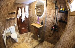 Cabană A-frame în Vama, 110 mp, 1800 mp teren 