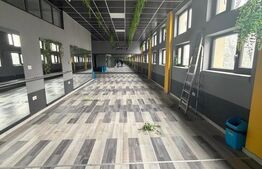 Spatiu ultracentral, 70 mp , Radauti