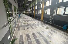 Spatiu ultracentral, 70 mp , Radauti