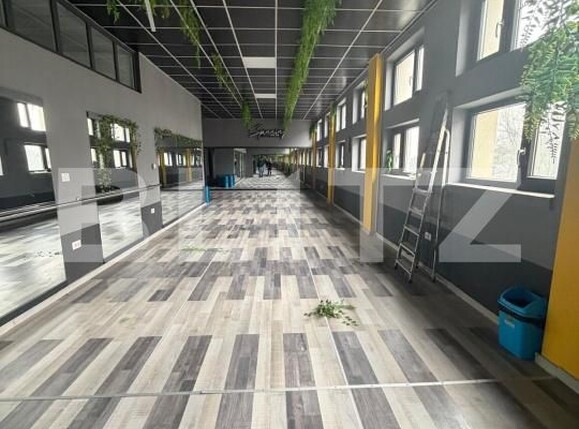 Spațiu comercial de închiriat Radauti - 193779SIC | BLITZ Suceava | Poza2
