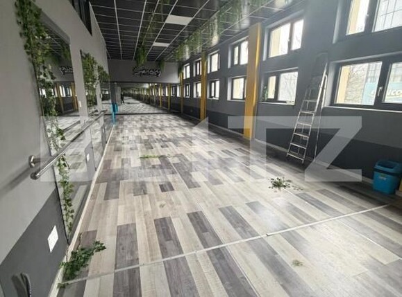 Spațiu comercial de închiriat Radauti - 193779SIC | BLITZ Suceava | Poza3