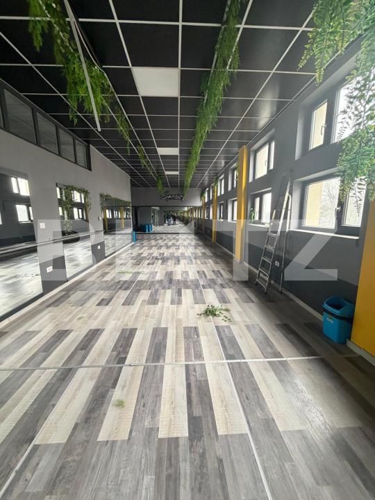 Spațiu comercial de închiriat Radauti - 193779SIC | BLITZ Suceava | Poza2