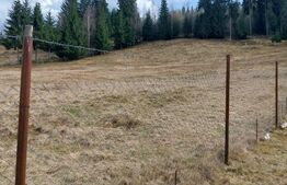 Teren intravilan, 4000 mp, Vatra Dornei