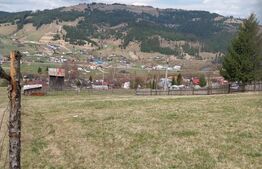 Teren intravilan, 4000 mp, Vatra Dornei