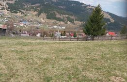 Teren intravilan, 4000 mp, Vatra Dornei