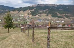 Teren intravilan, 4000 mp, Vatra Dornei
