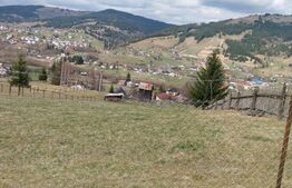 Teren intravilan, 4000 mp, Vatra Dornei