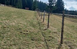 Teren intravilan, 4000 mp, Vatra Dornei