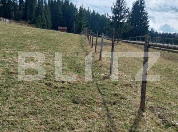 Teren de vânzare Exterior Vest - 193866TV | BLITZ Suceava | Poza2