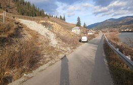 Teren intravilan în Dorna Arini, 1.25 ha, bonus 20 ari teren extravilan pădure
