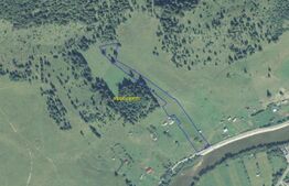 Teren intravilan în Dorna Arini, 1.25 ha, bonus 20 ari teren extravilan pădure