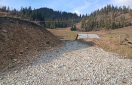 Teren intravilan în Dorna Arini, 1.25 ha, bonus 20 ari teren extravilan pădure