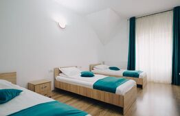 Afacere la cheie în inima Bucovinei – Complex turistic- Voronet