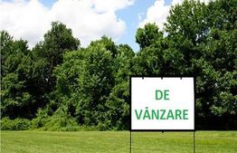 Teren intravilan 2500 mp, front 20 ml, Ilisesti - la Drumul European E58