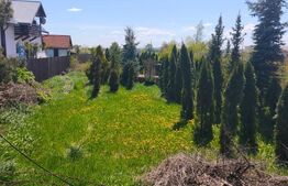 Teren intravilan, 4600mp, zona Francei, Radauti