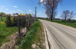 Teren intravilan, 4600mp, zona Francei, Radauti