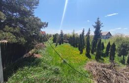 Teren intravilan, 4600mp, zona Francei, Radauti