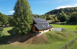 Cabana exclusivista din lemn rotund, 5500mp teren, Sucevita