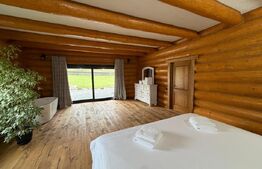 Cabana exclusivista din lemn rotund, 5500mp teren, Sucevita