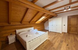 Cabana exclusivista din lemn rotund, 5500mp teren, Sucevita
