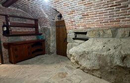 Cabana exclusivista din lemn rotund, 5500mp teren, Sucevita