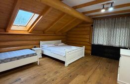 Cabana exclusivista din lemn rotund, 5500mp teren, Sucevita