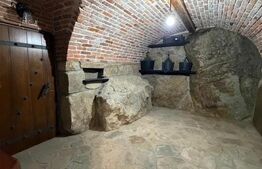 Cabana exclusivista din lemn rotund, 5500mp teren, Sucevita
