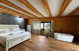 Cabana exclusivista din lemn rotund, 5500mp teren, Sucevita