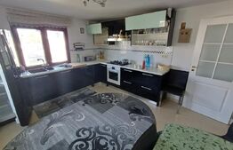 Casă 5 camere, mobilată și utilată, 247 mp, Bosanci