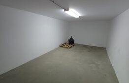 Casă 5 camere, mobilată și utilată, 247 mp, Bosanci