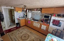 Casa de vanzare renovabila, 110 mp, Suceava