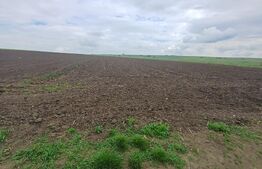 Teren de vanzare intravilan, 33 ari, Cumparatura