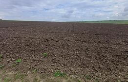 Teren de vanzare intravilan, 33 ari, Cumparatura