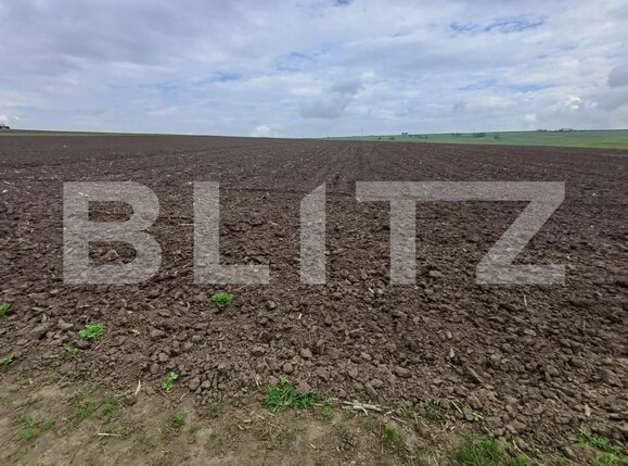 Teren de vânzare Periferie - 194696TV | BLITZ Suceava | Poza2