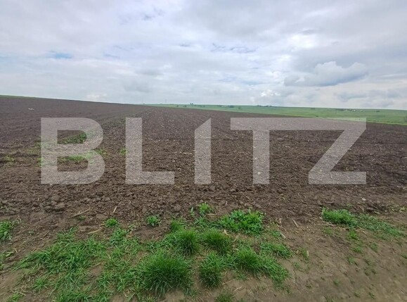 Teren de vânzare Periferie - 194696TV | BLITZ Suceava | Poza1