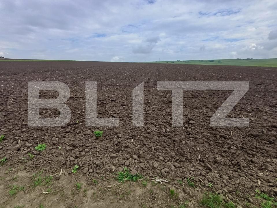 Teren de vânzare Periferie - 194696TV | BLITZ Suceava | Poza2