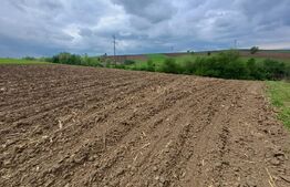 Teren de vanzare extravilan, 50 ari, Cumparatura