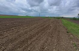 Teren de vanzare extravilan, 50 ari, Cumparatura