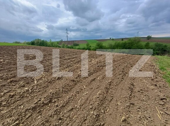 Teren de vânzare Periferie - 194701TV | BLITZ Suceava | Poza2