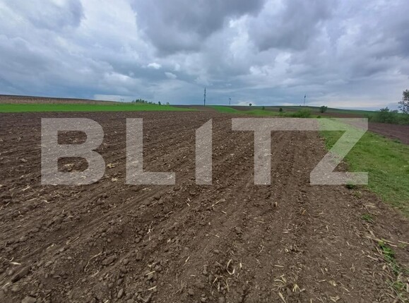Teren de vânzare Periferie - 194701TV | BLITZ Suceava | Poza3