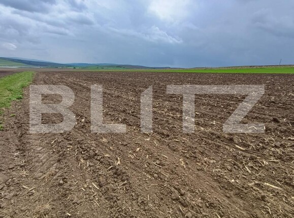Teren de vânzare Periferie - 194701TV | BLITZ Suceava | Poza1