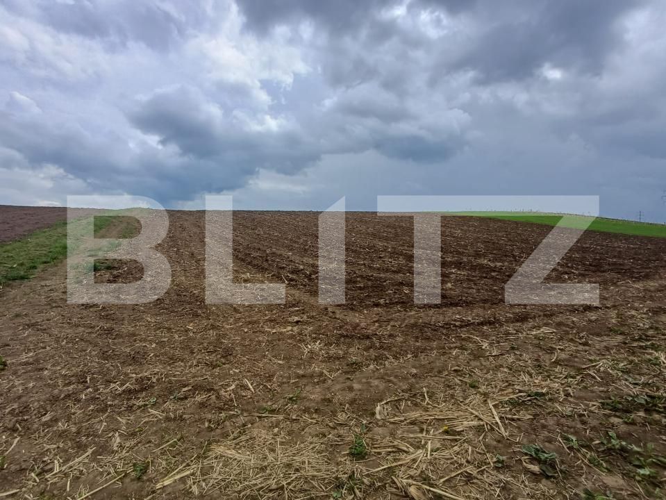 Teren de vânzare Periferie - 194701TV | BLITZ Suceava | Poza5